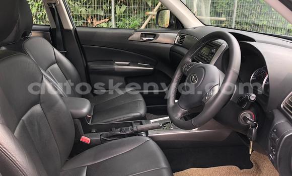 Oofamaa Subaru Forester Silver Makiinaa iti Mombasa keessatti Coastal Kenya keessatti Oofamaa Subaru Forester Silver Makiinaa iti Mombasa keessatti Coastal Kenya keessatti