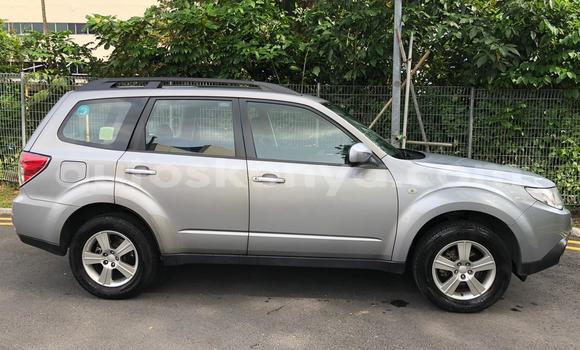 Oofamaa Subaru Forester Silver Makiinaa iti Mombasa keessatti Coastal Kenya keessatti Oofamaa Subaru Forester Silver Makiinaa iti Mombasa keessatti Coastal Kenya keessatti