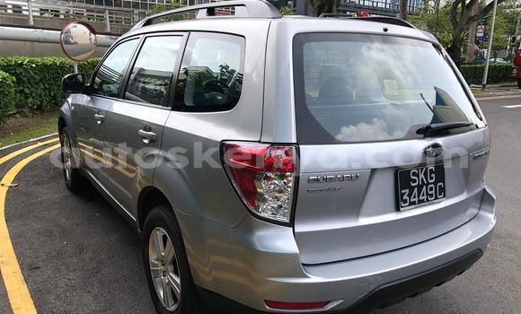 Oofamaa Subaru Forester Silver Makiinaa iti Mombasa keessatti Coastal Kenya keessatti Oofamaa Subaru Forester Silver Makiinaa iti Mombasa keessatti Coastal Kenya keessatti