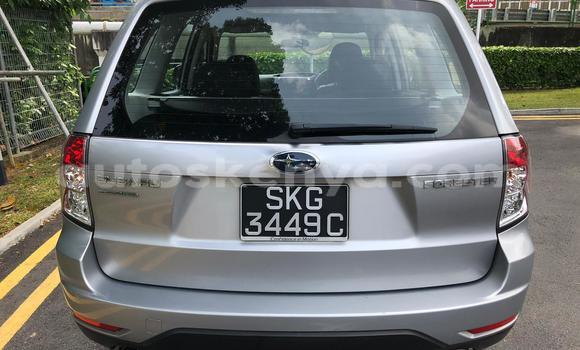 Oofamaa Subaru Forester Silver Makiinaa iti Mombasa keessatti Coastal Kenya keessatti Oofamaa Subaru Forester Silver Makiinaa iti Mombasa keessatti Coastal Kenya keessatti