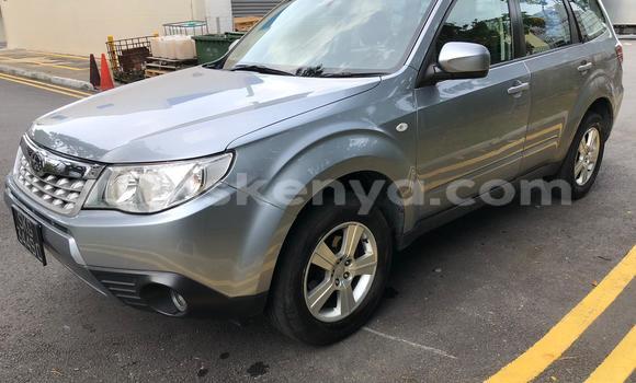 Oofamaa Subaru Forester Silver Makiinaa iti Mombasa keessatti Coastal Kenya keessatti Oofamaa Subaru Forester Silver Makiinaa iti Mombasa keessatti Coastal Kenya keessatti
