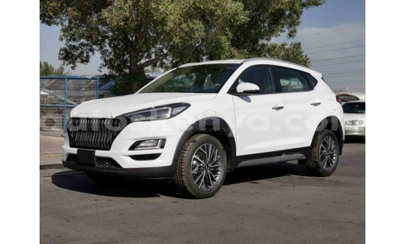 Buy Import Hyundai Tucson White Car in Import - Dubai in Central Kenya Buy Import Hyundai Tucson White Car in Import - Dubai in Central Kenya