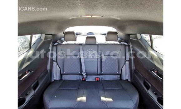 Buy Import Toyota C-HR Other Car in Import - Dubai in Central Kenya Buy Import Toyota C-HR Other Car in Import - Dubai in Central Kenya