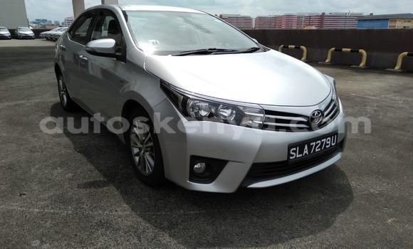 Oofamaa Toyota Corolla Silver Makiinaa iti Mombasa keessatti Coastal Kenya keessatti Oofamaa Toyota Corolla Silver Makiinaa iti Mombasa keessatti Coastal Kenya keessatti