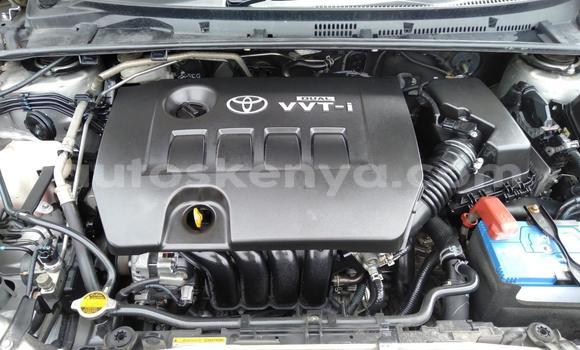 Oofamaa Toyota Corolla Silver Makiinaa iti Mombasa keessatti Coastal Kenya keessatti Oofamaa Toyota Corolla Silver Makiinaa iti Mombasa keessatti Coastal Kenya keessatti