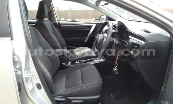 Oofamaa Toyota Corolla Silver Makiinaa iti Mombasa keessatti Coastal Kenya keessatti Oofamaa Toyota Corolla Silver Makiinaa iti Mombasa keessatti Coastal Kenya keessatti