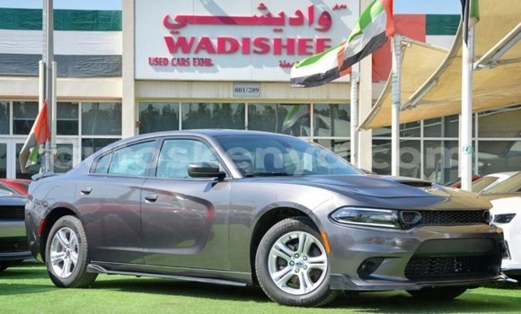 Buy Import Dodge Charger Other Car in Import - Dubai in Central Kenya