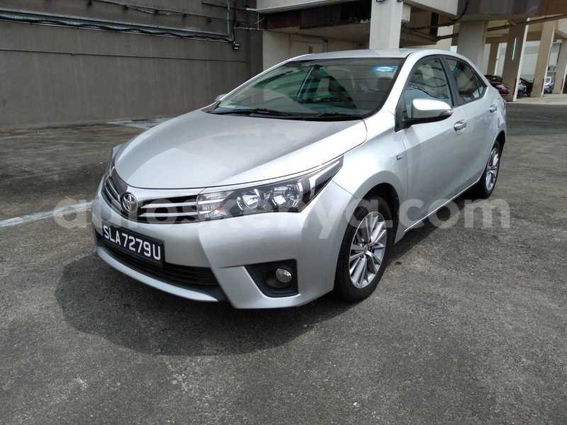 Big with watermark whatsapp image 2019 01 10 at 11.08.34 am 1 