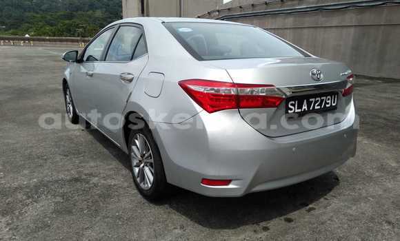 Oofamaa Toyota Corolla Silver Makiinaa iti Mombasa keessatti Coastal Kenya keessatti Oofamaa Toyota Corolla Silver Makiinaa iti Mombasa keessatti Coastal Kenya keessatti