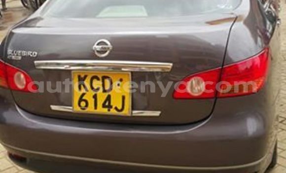 Oofamaa Nissan Bluebird Sylphy Other Makiinaa iti Thika keessatti Nairobi keessatti Oofamaa Nissan Bluebird Sylphy Other Makiinaa iti Thika keessatti Nairobi keessatti