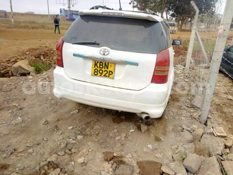 Big with watermark 51645224 539557983203680 8366701424817471488 o