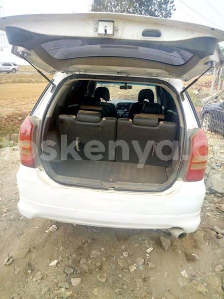 Big with watermark 51974360 539557829870362 4872152639351029760 n