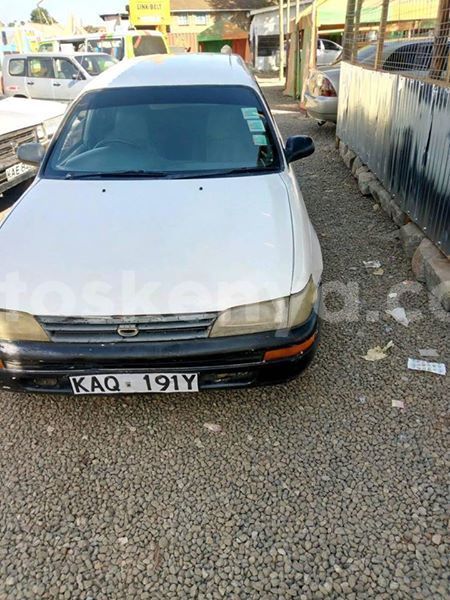 Big with watermark 51497647 539561996536612 1150935030692839424 n