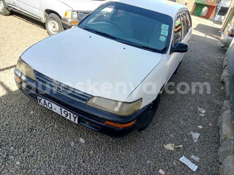 Big with watermark 51607252 539562049869940 2351809888109199360 o