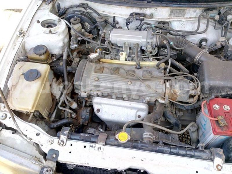 Big with watermark 51459367 539562133203265 8425382373276778496 o