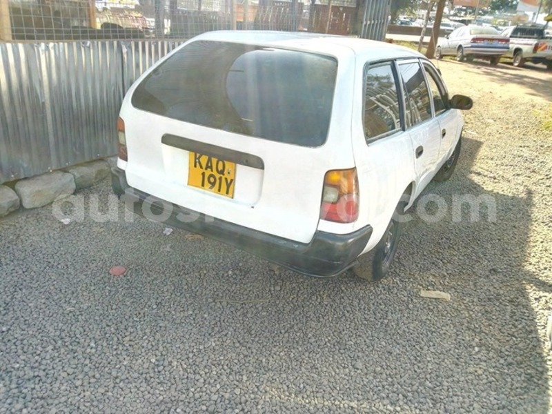 Big with watermark 51970680 539562239869921 2066466786542354432 o