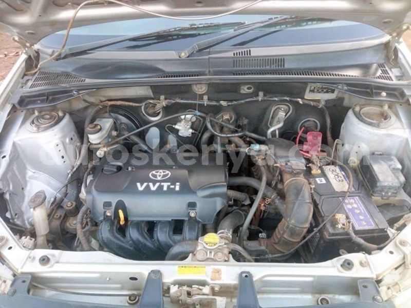 Big with watermark 51608176 539550526537759 2056918266789494784 o