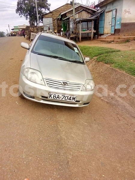 Big with watermark 51236059 538410409985104 7503792806574424064 n