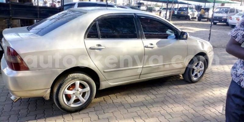 Big with watermark 51745038 538410433318435 995269503031967744 o