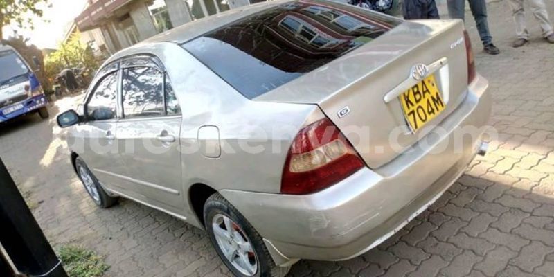 Big with watermark 51368800 538410459985099 2020222628853186560 o