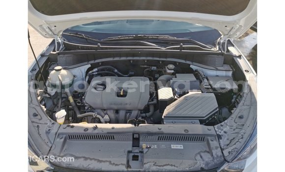 Buy Import Hyundai Tucson White Car in Import - Dubai in Central Kenya Buy Import Hyundai Tucson White Car in Import - Dubai in Central Kenya