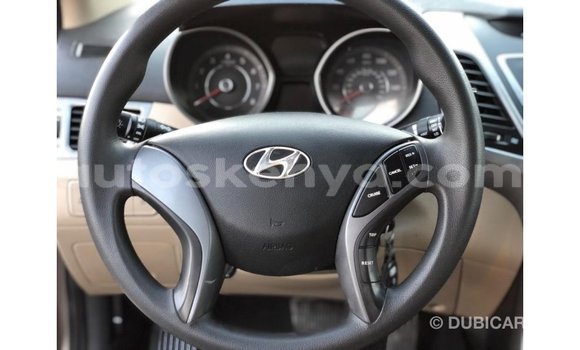 Buy Import Hyundai Elantra Brown Car in Import - Dubai in Central Kenya Buy Import Hyundai Elantra Brown Car in Import - Dubai in Central Kenya