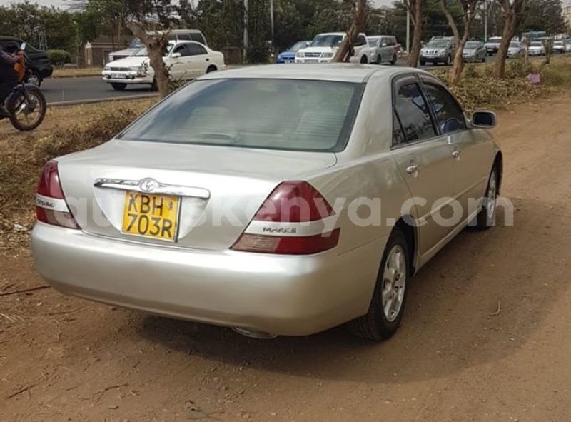 Big with watermark 51683576 2752956138064563 2663921901629341696 n