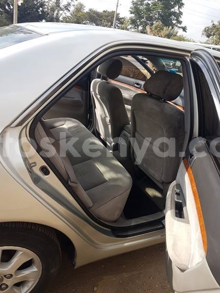 Big with watermark 52328284 2752956588064518 9142929047452385280 n