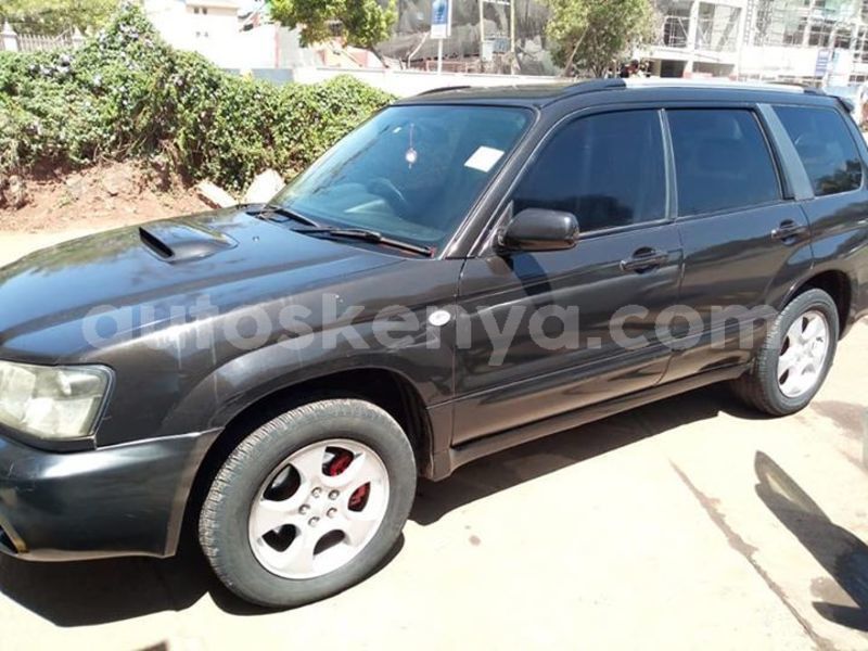 Big with watermark 50940345 10218041182844061 9011733086643159040 n