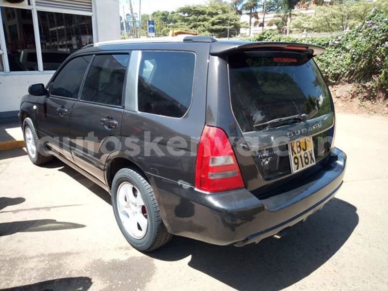 Big with watermark 50754086 10218041183044066 6790203502380449792 n