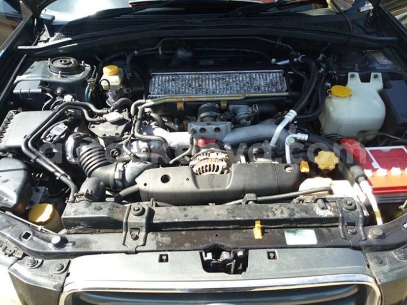 Big with watermark 51260237 10218041183844086 3883141775547695104 n