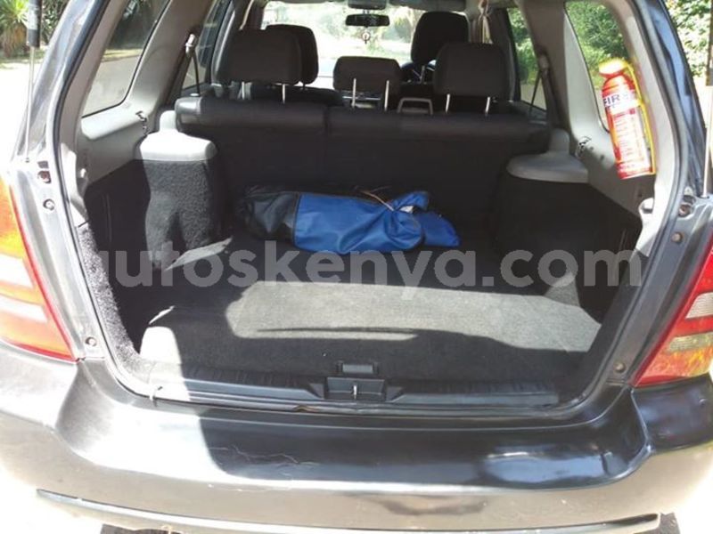 Big with watermark 51243182 10218041184084092 8210650947827793920 n