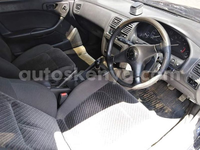 Big with watermark 50073209 10217894715462468 1163423653128306688 n