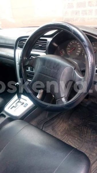 Big with watermark 51892081 1765796520191343 634864164271030272 n