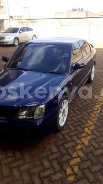 Big with watermark 52008405 1765796560191339 4845186249096429568 n