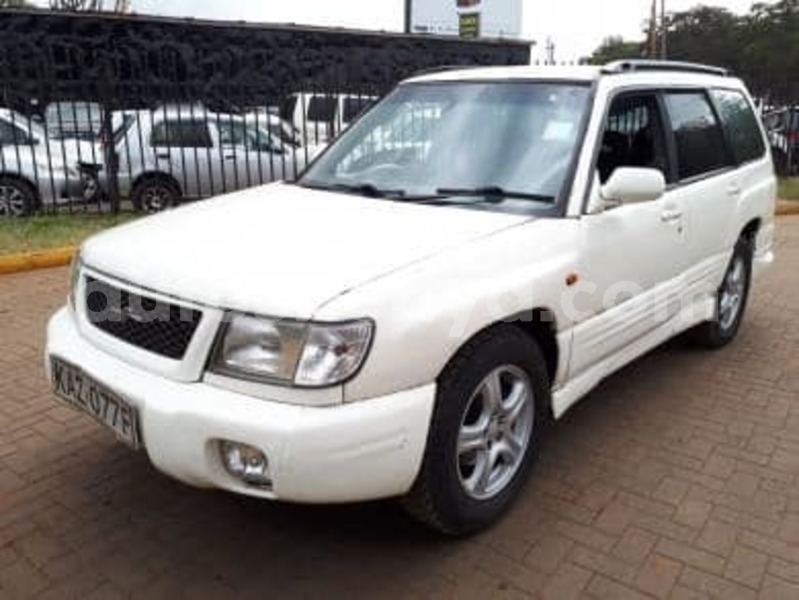 Big with watermark 51957922 589786831426738 605643547546222592 n