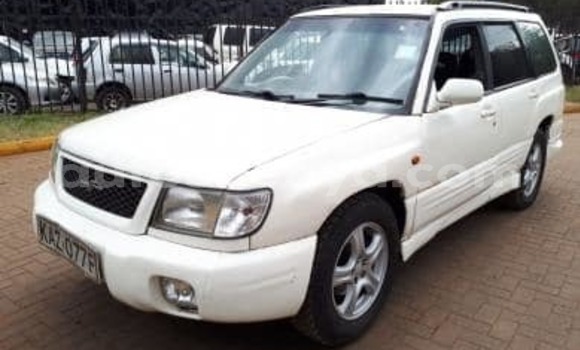 Buy Used Subaru Forester White Car in Nairobi in Nairobi Buy Used Subaru Forester White Car in Nairobi in Nairobi
