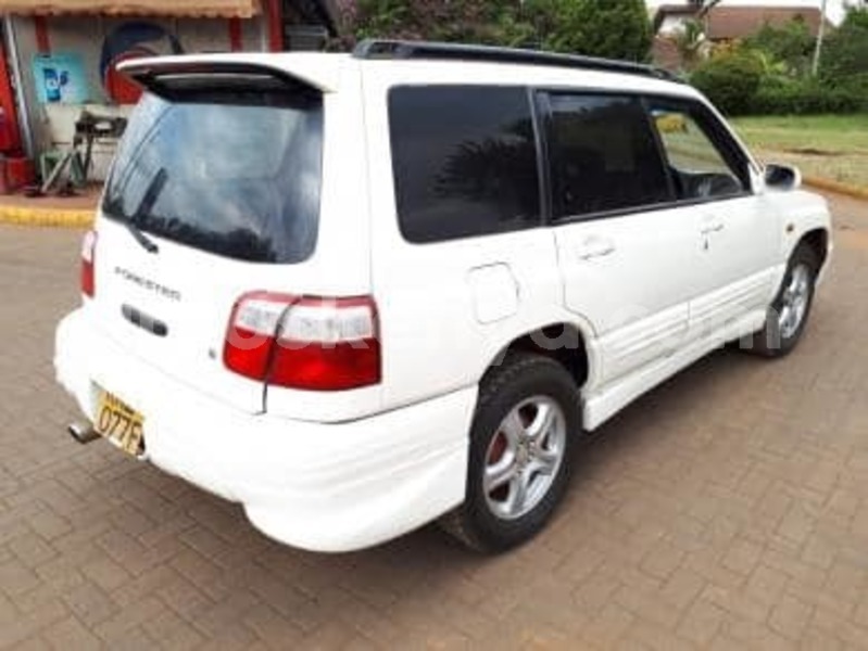 Big with watermark 51925005 589786864760068 5979829077266137088 n