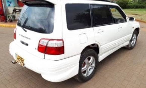 Buy Used Subaru Forester White Car in Nairobi in Nairobi Buy Used Subaru Forester White Car in Nairobi in Nairobi