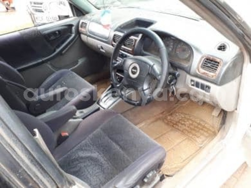 Big with watermark 52065873 589786918093396 5193319066701398016 n