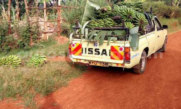 Nunua Ilio tumika Nissan Pickup Brown Gari ndani ya Nairobi nchini Nairobi