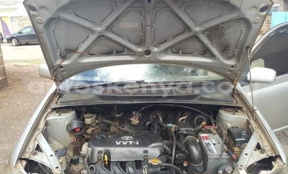 Oofamaa Toyota Platz Silver Makiinaa iti Nairobi keessatti Nairobi keessatti Oofamaa Toyota Platz Silver Makiinaa iti Nairobi keessatti Nairobi keessatti