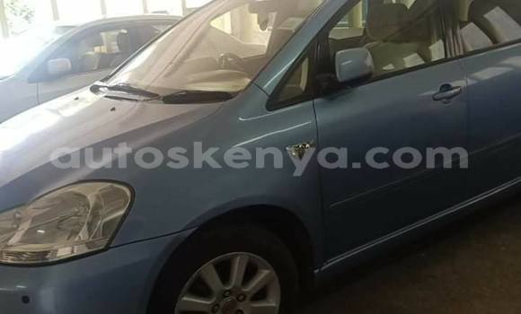 Oofamaa Toyota Ipsum Blue Makiinaa iti Nairobi keessatti Nairobi keessatti Oofamaa Toyota Ipsum Blue Makiinaa iti Nairobi keessatti Nairobi keessatti