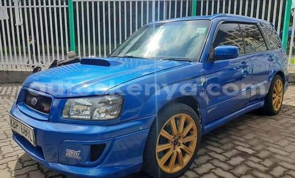 Oofamaa Subaru Forester Blue Makiinaa iti Nairobi keessatti Nairobi keessatti Oofamaa Subaru Forester Blue Makiinaa iti Nairobi keessatti Nairobi keessatti