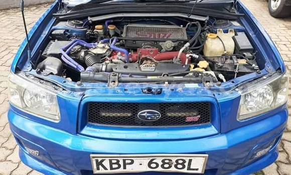 Oofamaa Subaru Forester Blue Makiinaa iti Nairobi keessatti Nairobi keessatti Oofamaa Subaru Forester Blue Makiinaa iti Nairobi keessatti Nairobi keessatti