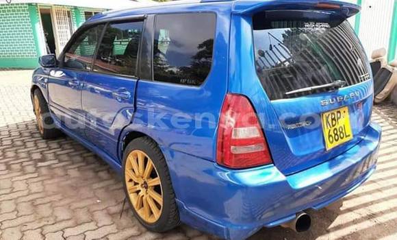Oofamaa Subaru Forester Blue Makiinaa iti Nairobi keessatti Nairobi keessatti Oofamaa Subaru Forester Blue Makiinaa iti Nairobi keessatti Nairobi keessatti