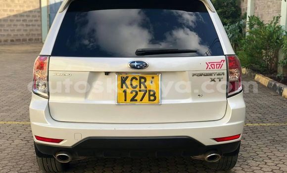 Buy Used Subaru Forester White Car in Nairobi in Nairobi Buy Used Subaru Forester White Car in Nairobi in Nairobi