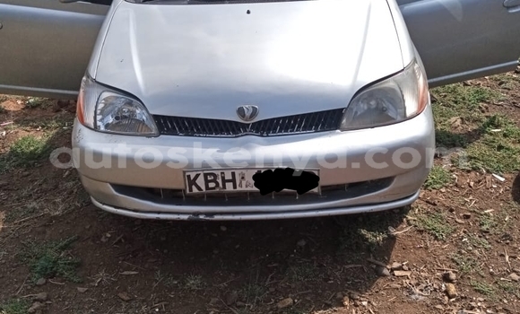 Oofamaa Toyota Platz Silver Makiinaa iti Nakuru keessatti Rift Valley keessatti
