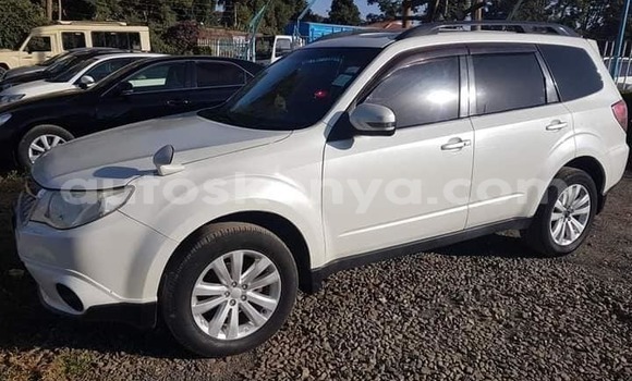 Nunua Ilio tumika Subaru Forester Nyeupe Gari ndani ya Mto Athi nchini Nairobi