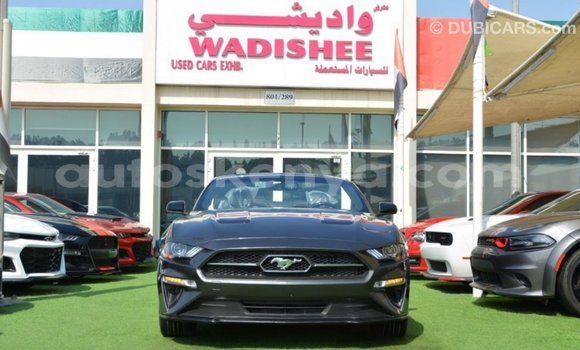 Nunua Imported Ford Mustang Nyingine Gari ndani ya Import - Dubai nchini Kati Kenya Nunua Imported Ford Mustang Nyingine Gari ndani ya Import - Dubai nchini Kati Kenya